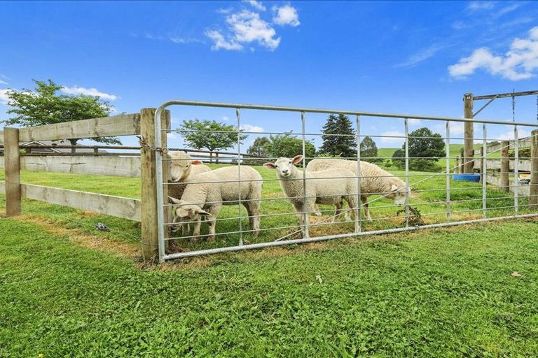 Photo of property in 7 Reynolds Road, Te Kuiti, 3986