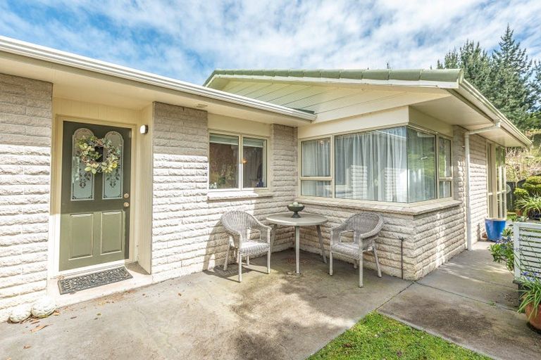Photo of property in 41 Downes Avenue, Springvale, Whanganui, 4501