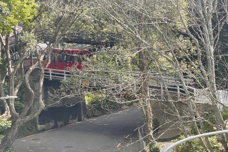 Photo of property in 19 Everton Terrace, Kelburn, Wellington, 6012