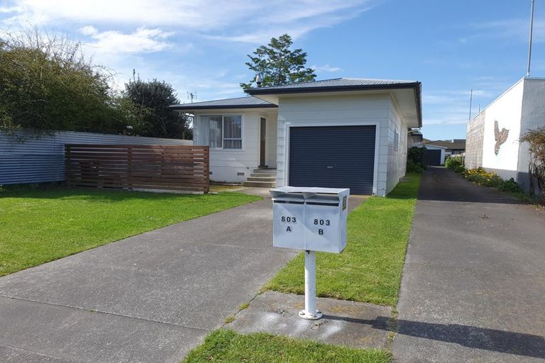 Photo of property in 803a Lane Street, Mahora, Hastings, 4120
