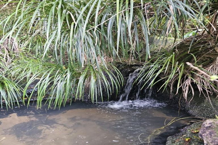 Photo of property in 121 Ohawini Road, Oakura, Hikurangi, 0184