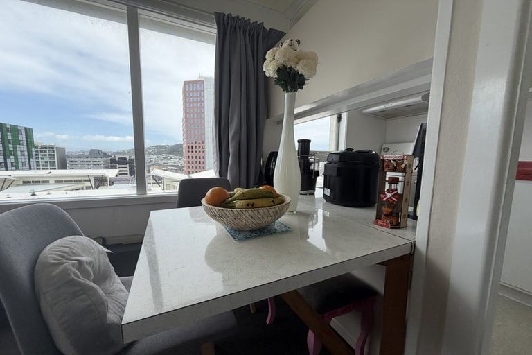 Photo of property in Churchill Flats, 213 The Terrace, Wellington Central, Wellington, 6011