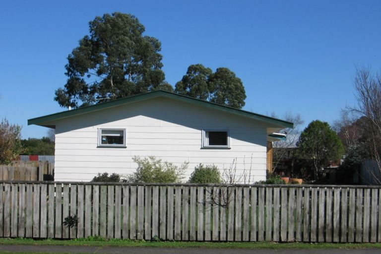 Photo of property in 21 Vogel Crescent, Masterton, 5810
