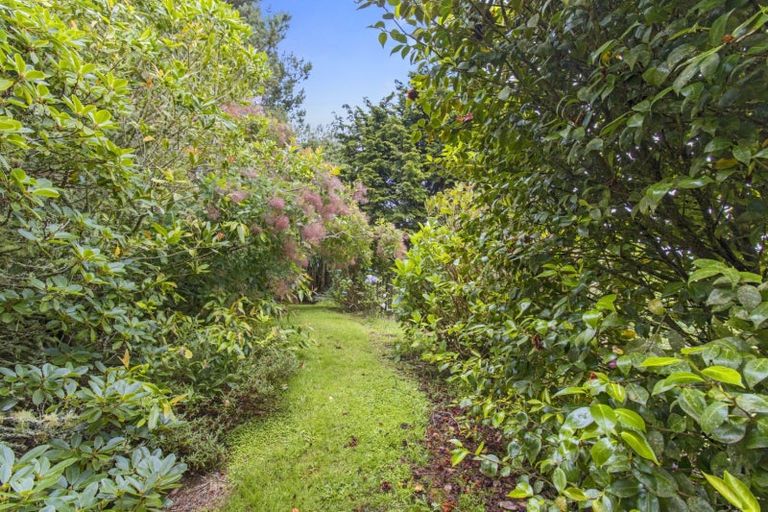 Photo of property in 488 Tapuwae Road, Maniaiti / Benneydale, Te Kuiti, 3987