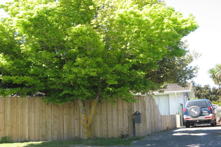 Photo of property in 3 Cassidy Place, Woodend, 7610