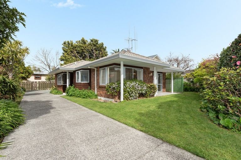 Photo of property in 14b Fourth Avenue, Tauranga, 3110