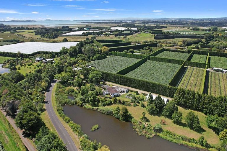 Photo of property in 60 Elmwood Road, Aongatete, Katikati, 3178