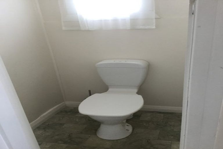 Photo of property in 56 Limbrick Street, Terrace End, Palmerston North, 4410