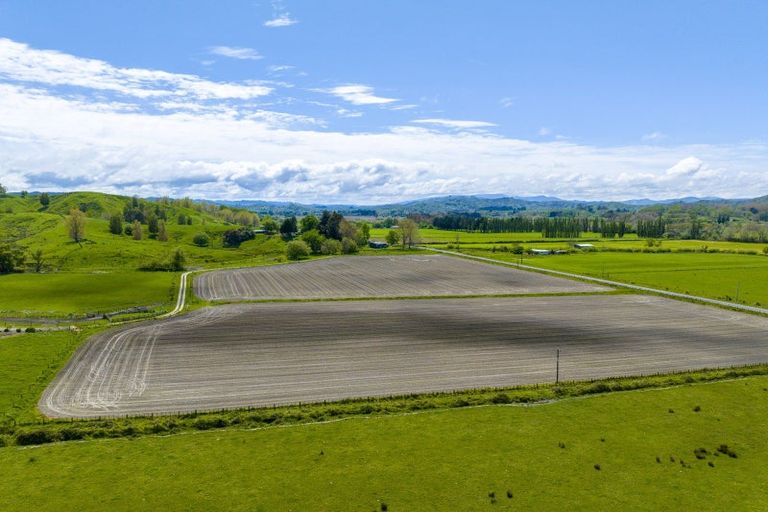 Photo of property in 271 Awamate Road, Frasertown, Wairoa, 4193