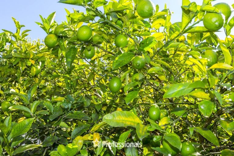 Photo of property in 45 Hikurangi Street, Trentham, Upper Hutt, 5018