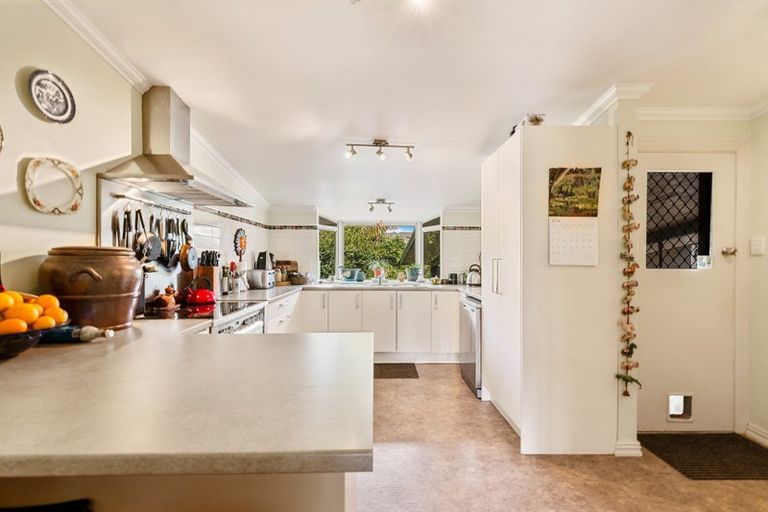 Photo of property in 28 Wharepaina Crescent, Springfield, Rotorua, 3015