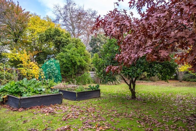 Photo of property in 55 College Street, Masterton, 5810