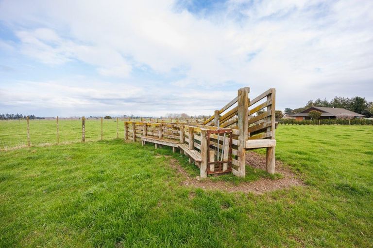 Photo of property in 187 High Street, Bulls, 4818