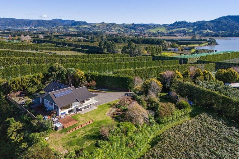 Photo of property in 252 Tuapiro Road, Tahawai, Katikati, 3170