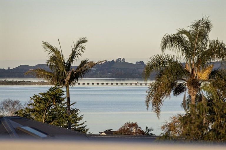 Photo of property in 75a Thirteenth Avenue, Tauranga South, Tauranga, 3112