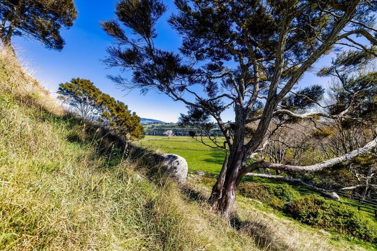 Photo of property in 263b Horahora Road, Piarere, Tirau, 3484