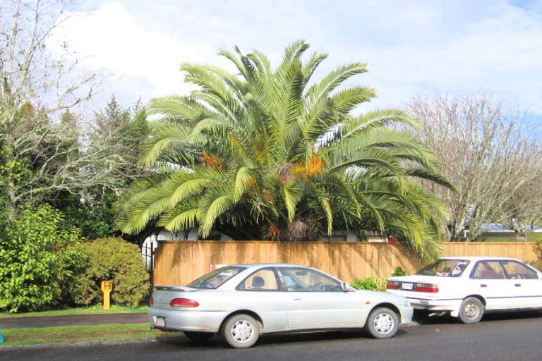 Photo of property in 13 Sunnyhills Avenue, Glenview, Hamilton, 3206