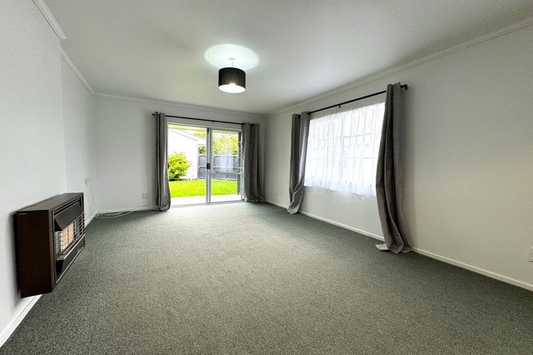 Photo of property in 10a Ihle Street, Terrace End, Palmerston North, 4410