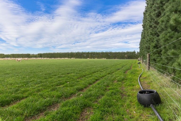 Photo of property in 214 Kivers Road, Burnham, Christchurch, 7677