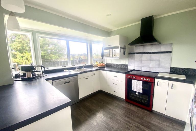 Photo of property in 80 Hammond Street, Hairini, Tauranga, 3112