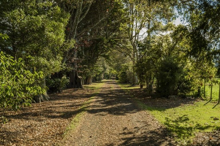 Photo of property in 79 Hot Water Beach Road, Purangi, Whitianga, 3591