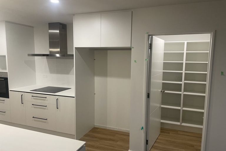 Photo of property in 79 Nethercote Way, Rolleston, 7614