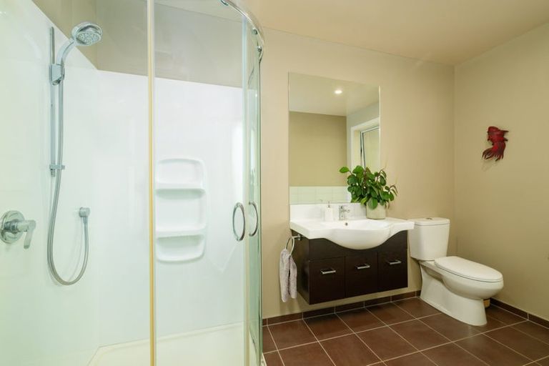 Photo of property in 24 Miromiro Drive, Kaikoura, 7300