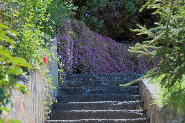 Photo of property in 25 Robin Street, Taihape, 4720