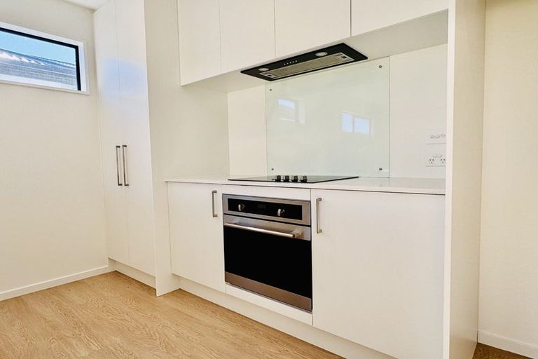 Photo of property in 45 Chrysolite Place, Belfast, Christchurch, 8051