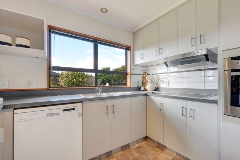 Photo of property in 3 Ledger Close, Richmond, 7020