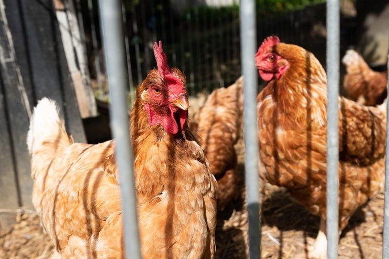 Photo of property in 141 Point View Drive, East Tamaki Heights, Auckland, 2016