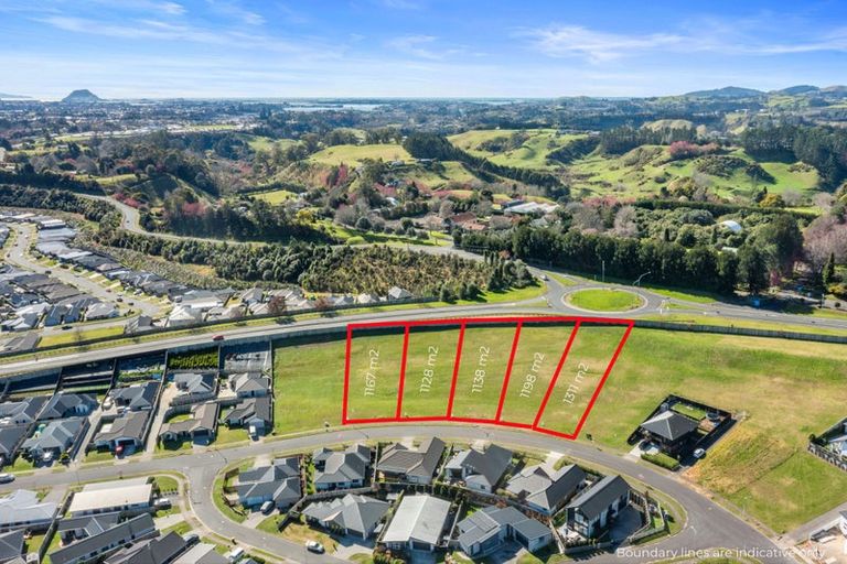Photo of property in 51 Whakaturou Crescent, Pyes Pa, Tauranga, 3112