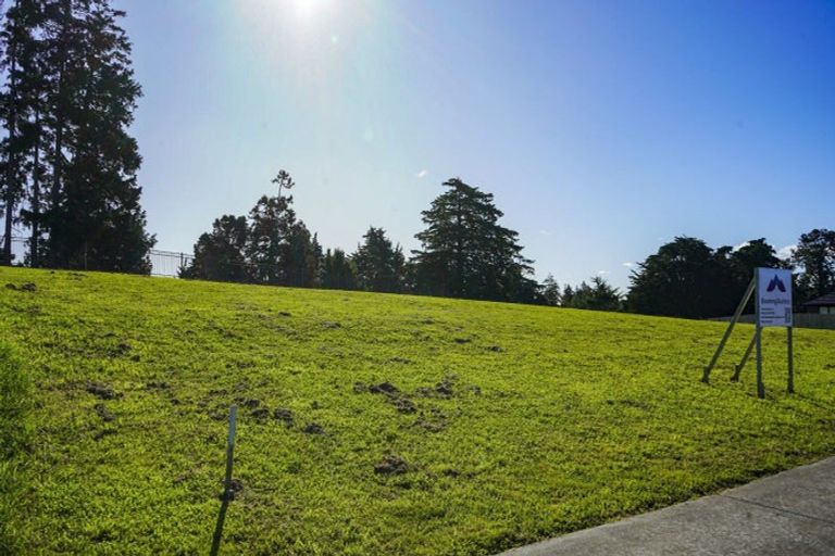 Photo of property in 31 Murray Ward Drive, Te Kauwhata, 3710
