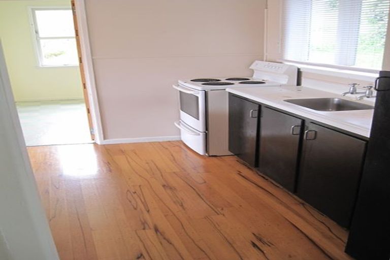 Photo of property in 14 Hugh Brown Drive, New Lynn, Auckland, 0600