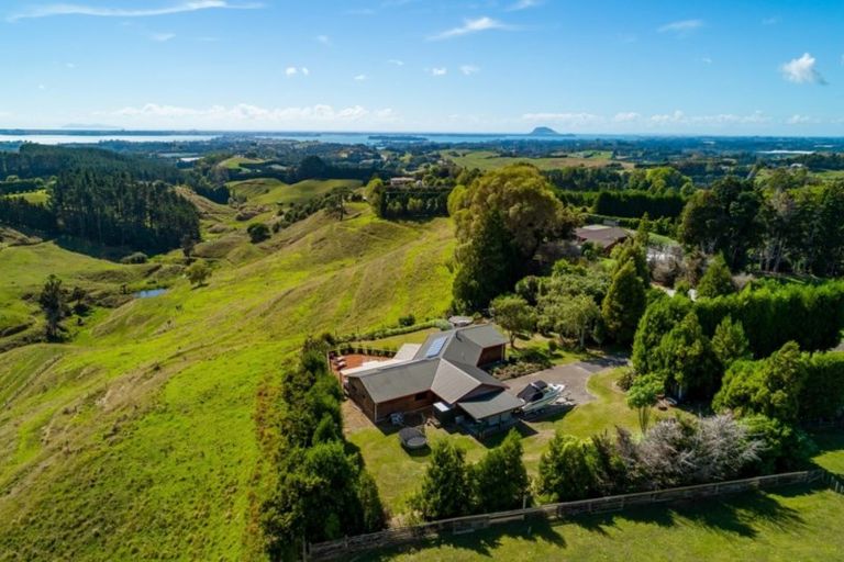 Photo of property in 109d Plummer Road, Whakamarama, Tauranga, 3179