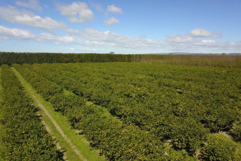 Photo of property in 50 Harper Road, Waerengaahika, Gisborne, 4071