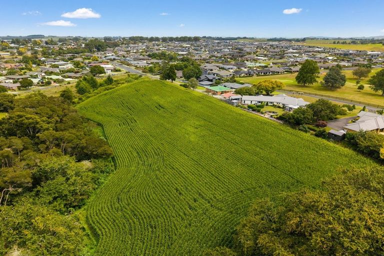 Photo of property in 6 Seales Road, Morrinsville, 3374