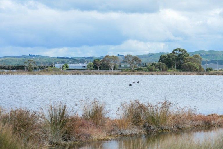 Photo of property in 55 Watchman Road, Westshore, Napier, 4110