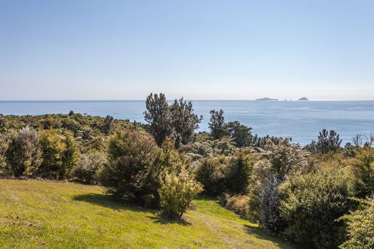 Photo of property in 160 Pumpkin Hill Road, Pumpkin Hill, Whitianga, 3591