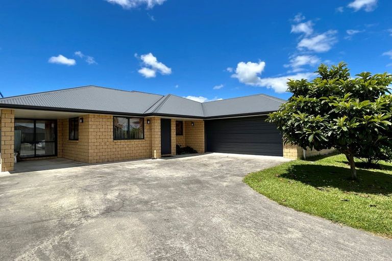 Photo of property in 3 Astor Avenue, Dinsdale, Hamilton, 3204