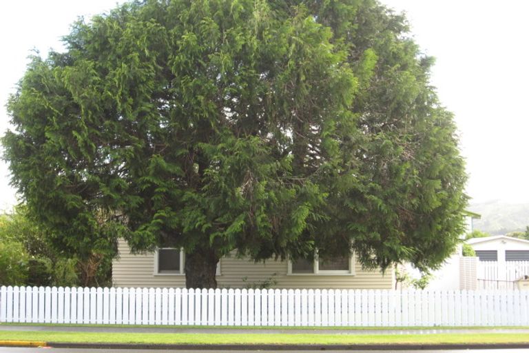 Photo of property in 457 Childers Road, Te Hapara, Gisborne, 4010