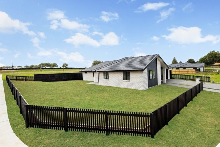 Photo of property in 10 Hoki Avenue, Morrinsville, 3300