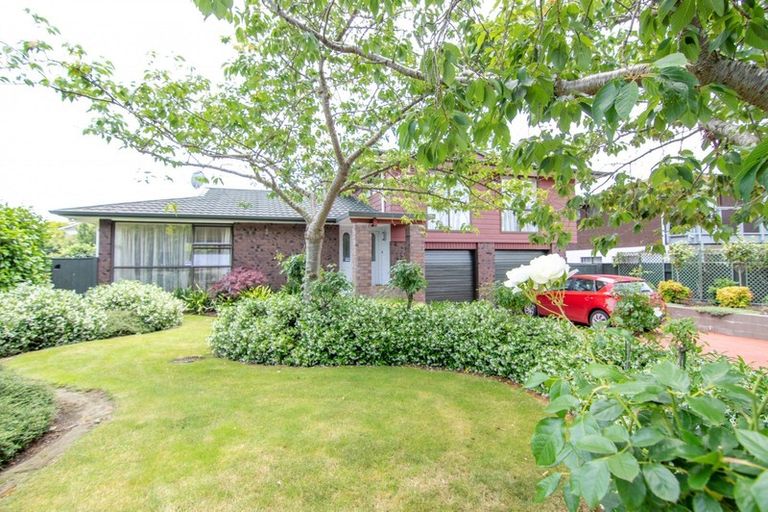 Photo of property in 39 Carter Crescent, Awapuni, Palmerston North, 4412