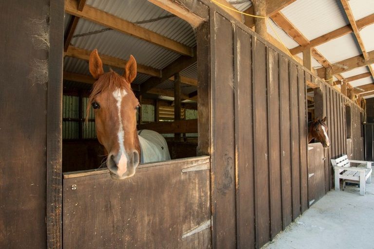Photo of property in 1911b State Highway 29, Lower Kaimai, Tauranga, 3171