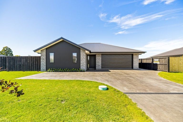Photo of property in 23 Greig Crescent, Amberley, 7410