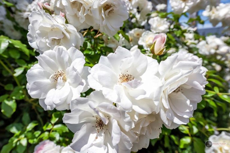 Photo of property in 31 Wainui Road, Waiwhetu, Lower Hutt, 5010