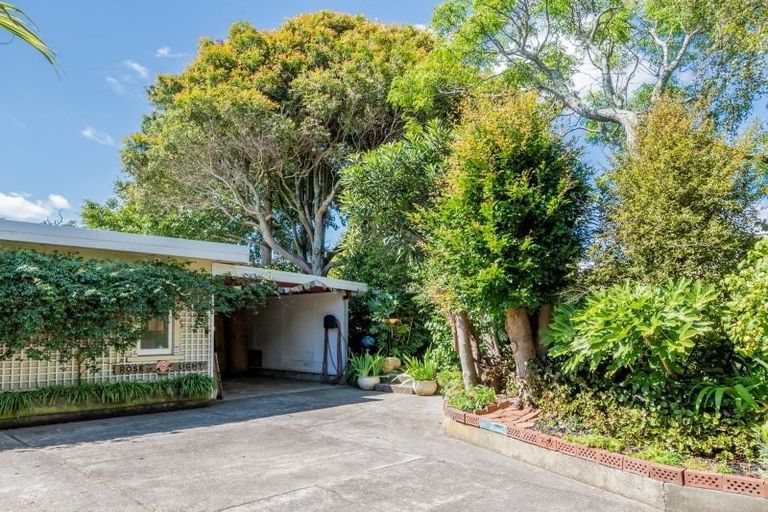 Photo of property in 18 Graham Street, Levin, 5510