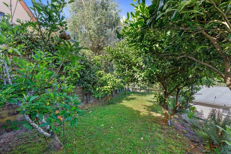 Photo of property in 18 Jonathon Street, Brookfield, Tauranga, 3110