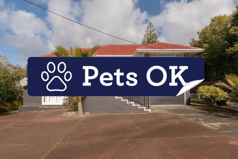 Photo of property in 6 Swanson Road, Henderson, Auckland, 0610