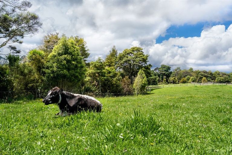 Photo of property in 1021 Old North Road, Waimauku, 0882